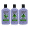 Hemp Heaven Natural Hemp Seed Oil Lotion - Lavender Dreams, 12 oz. (Pack of 3)