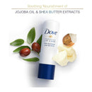 Dove Nourishing Lip Care 24 Hour Essential Lip Balm, 4.8g (0.16oz) (Pack of 12)