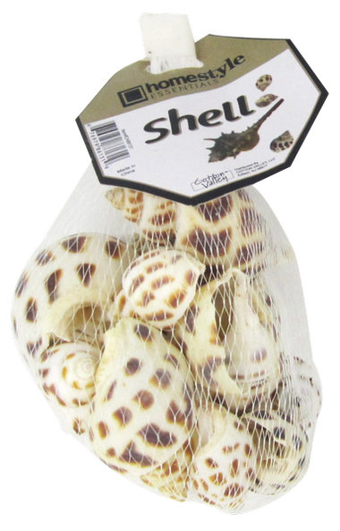 Decorative Shells Bag