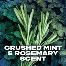 Axe Phoenix Crushed Mint & Rosemary Scent Body Spray, 4oz (150ml)