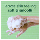 Softsoap Energizing Fresh Eucalyptus & Mint Scent Body Wash, 20oz.
