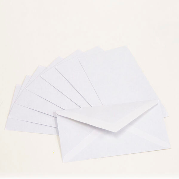 #6 3/4 Gummed Closure Security Envelope (80/Pack)