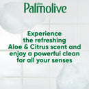 Palmolive Ultra Soft Touch Aloe & Citrus Scent Dish Liquid, 20 oz. (Pack of 2)