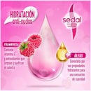 Sedal Shampoo Hidratacion Anti-Nudos Frambuesa & Oleos, 300ml