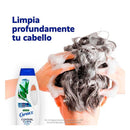Caprice Shampoo Control Caspa Limpieza Refrescante Eucalipto 25.4oz (Pack of 2)