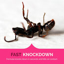 Hot Shot Ant, Roach, & Spider Killer - Fresh Floral Scent 17.5oz