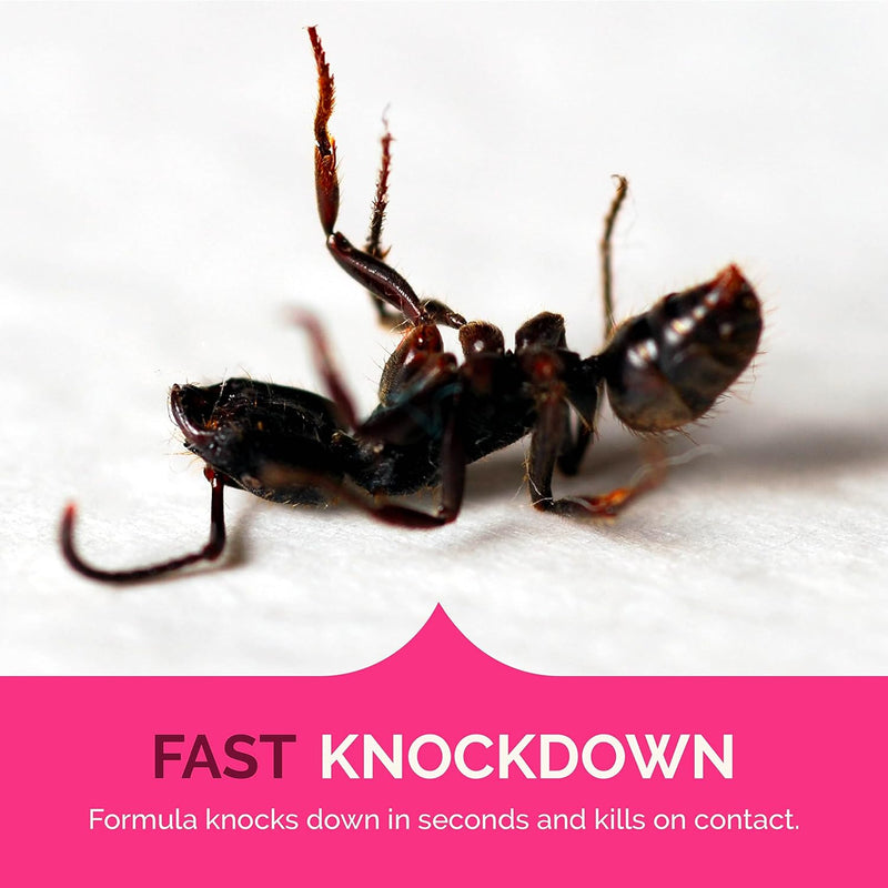 Hot Shot Ant, Roach, & Spider Killer - Fresh Floral Scent 17.5oz (Pack of 3)