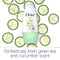 Dove Go Fresh Cucumber Green Tea Scent Antiperspirant Roll On, 50ml (Pack of 6)