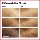 Revlon ColorSilk Hair Color - 75 Warm Golden Blonde (Pack of 6)