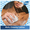 Dial Silk & Magnolia Moisturizing Body Wash, 16 oz