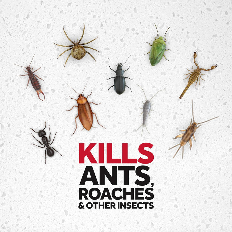 Raid Ant & Roach Spray - Outdoor Fresh Scent, 17.5 oz.