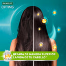 Palmolive Optims 4 Extra Intensivo 2-in-1 Shampoo Keratina, 23.7oz (Pack of 3)