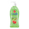 Fresh Kiwi & Melon Scented Hand Soap, 13.5oz. (400ml)