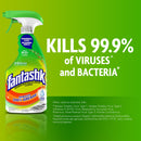 Fantastik Disinfectant Multi-Purpose Cleaner - Fresh Scent, 32 oz (Pack of 2)