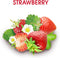 Alberto Balsam Strawberries & Cream Shampoo - Limited Edition, 12oz (Pack of 6)