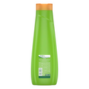 Savile Linaza y Sábila Conditioner (Rizos Radiantes), 24oz (700ml)