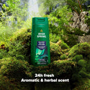 Irish Spring Icelandic Night Aromatic & Herbal Scent Body Wash 20oz