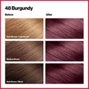 Revlon ColorSilk Beautiful Color Hair Color - 48 Burgundy (Pack of 12)