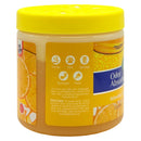 Refreshing Citrus Solid Gel Odor Absorber Eliminator Freshener 10oz