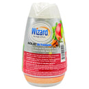 Apple Cinnamon & Vanilla Bean Scent Solid Air Freshener, 7.8oz