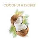 Alberto Balsam Coconut & Lychee Conditioner w/ Vitamin B5, 12oz (Pack of 2)