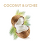 Alberto Balsam Coconut & Lychee Conditioner w/ Vitamin B5, 12oz (Pack of 6)
