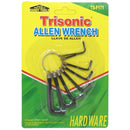 6 Piece Assorted Sizes Allen Wrench Hex Tool Set with Keychain