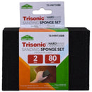 2-Pack Sanding Sponge Kit (80 & 120 Grit)