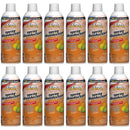Chase's Citrus Scent Spray Disinfectant - Kills 99.9% Germs, 6oz. (Pack of 12)