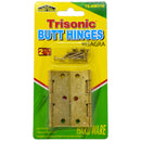 2 Pack 2.5 Inch 2.5" Butt Hinges with Screws