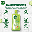 Dettol Honeydew Melon & Cucumber Antibacterial Bodywash, 33.5oz