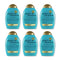 OGX Renewing + Argan Oil of Morocco Shampoo, 13 fl oz (Pack of 6)