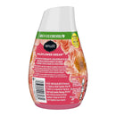 Renuzit Gel Air Freshener Wildflower Dream Scent, 7oz (Pack of 12)