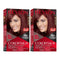 Revlon ColorSilk Beautiful Hair Color - 49 Auburn Brown (Pack of 2)