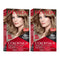 Revlon ColorSilk Beautiful Hair Color - 60 Dark Ash Blonde (Pack of 2)