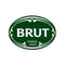 Brut Original All-in-One Hair & Body Shower Gel, 16.9oz (Pack of 12)