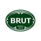 Brut Original All-in-One Hair & Body Shower Gel, 16.9oz
