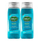 Brut Sport Style All-in-One Hair & Body Shower Gel, 16.9oz (Pack of 2)