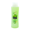 Alberto Balsam Juicy Green Apple Shampoo with Vitamin B5, 12oz