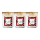 Wick & Wax Juicy Pomegranate 2-Wick Jar Candle, 9oz (Pack of 3)