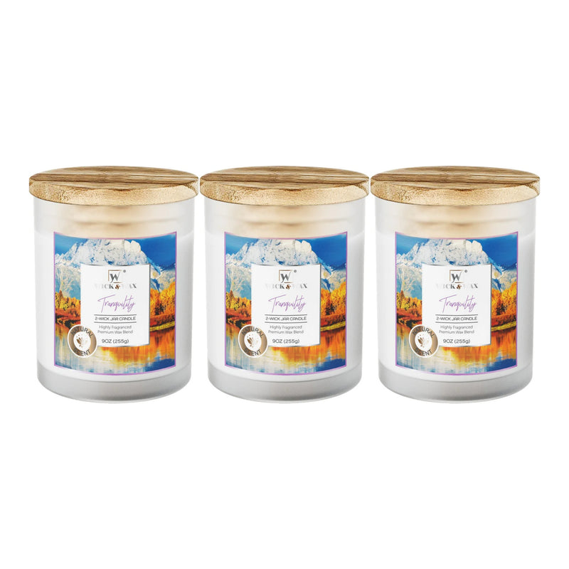 Wick & Wax Tranquility 2-Wick Jar Candle, 9oz (Pack of 3)