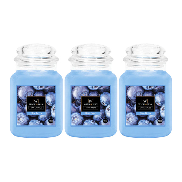 Wick & Wax Blue Berry Original Large Jar Candle, 18oz. (Pack of 3)