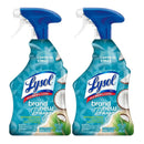 Lysol Brand New Day Disinfectant Spray Coconut & Sea Minerals, 22oz (Pack of 2)