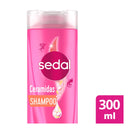 Sedal Shampoo Ceramidas, 300ml (10.15oz.) (Pack of 6)