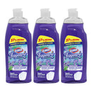 Clorox Fraganzia Bleach Free Liquid Dish Soap - Lavender 22oz 650ml (Pack of 3)