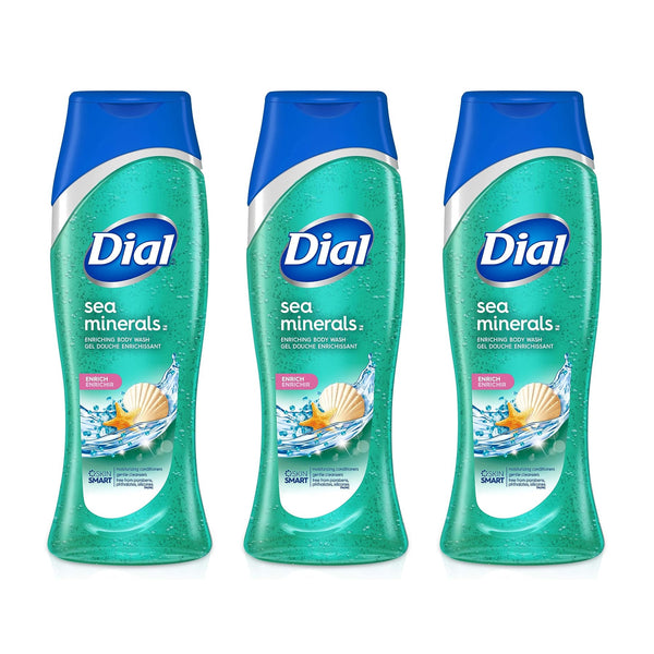 Dial Sea Minerals Hydrating Body Wash, 16 Oz (Pack of 3)