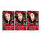 Revlon ColorSilk Beautiful Hair Color - 33 Dark Soft Brown (Pack of 3)