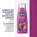 Alberto VO5 Blackberry Sage Tea w/ Herb Shampoo, 12.5 oz. (370ml)