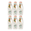 Caprice Shampoo Aceites de Almendra y Moringa, 730ml (Pack of 6)