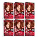 Revlon ColorSilk Beautiful Hair Color - 42 Medium Auburn (Pack of 6)